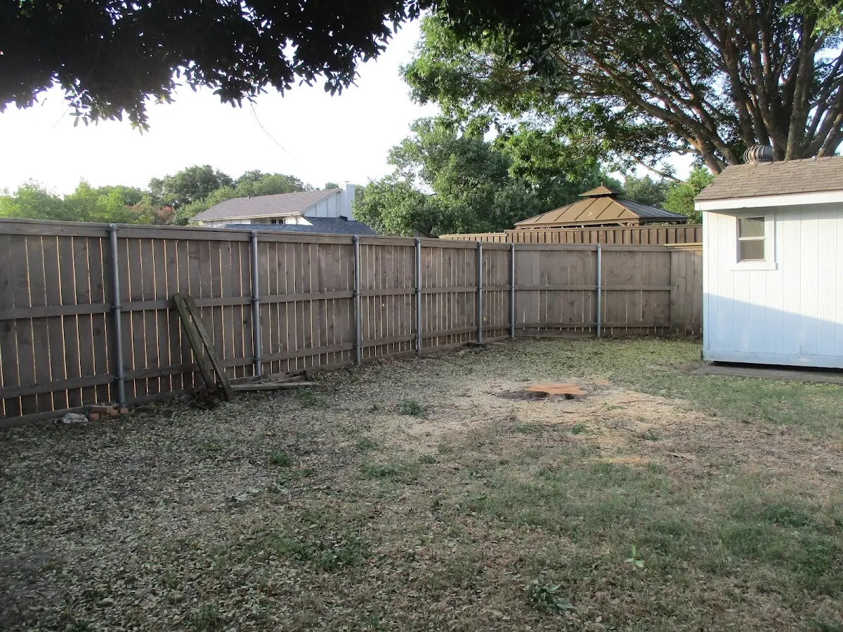 Cleared yard after professional tree removal in East Flat Rock